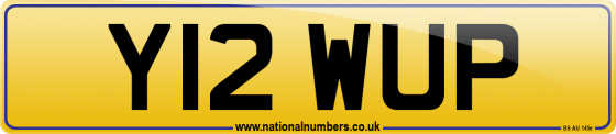 Y12 WUP