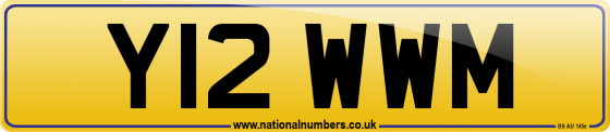Y12 WWM