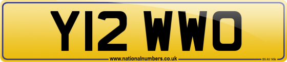 Y12 WWO