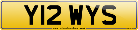 Y12 WYS
