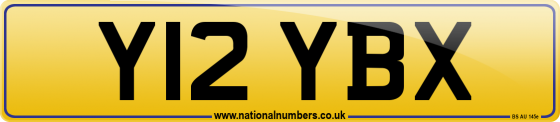 Y12 YBX