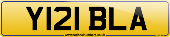 Y121 BLA