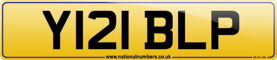 Y121 BLP