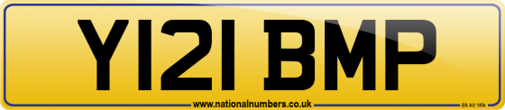 Y121 BMP