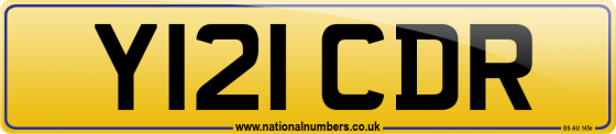 Y121 CDR