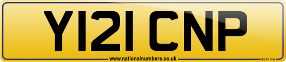Y121 CNP