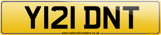 Y121 DNT