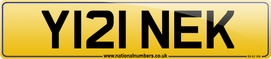 Y121 NEK