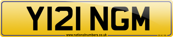 Y121 NGM