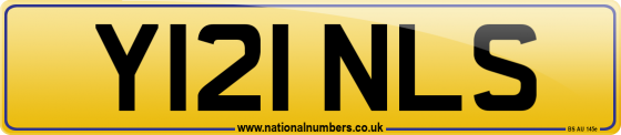 Y121 NLS