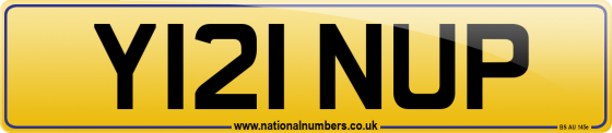 Y121 NUP