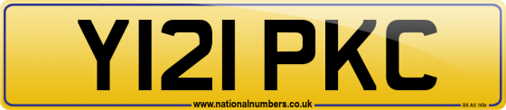 Y121 PKC