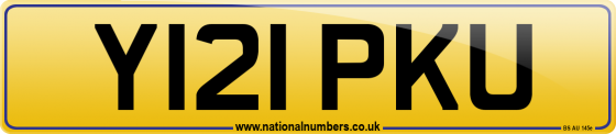 Y121 PKU