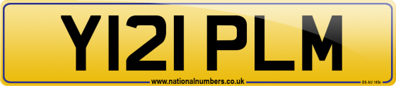 Y121 PLM