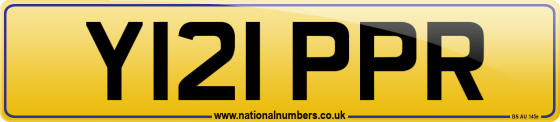 Y121 PPR