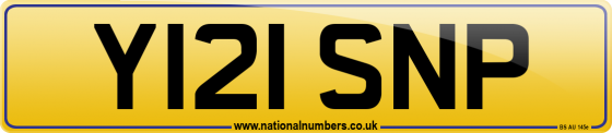 Y121 SNP