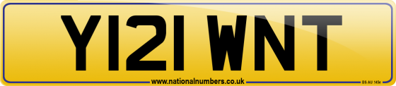 Y121 WNT