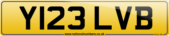Y123 LVB