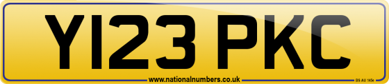 Y123 PKC