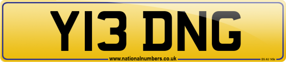Y13 DNG