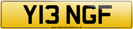 Y13 NGF