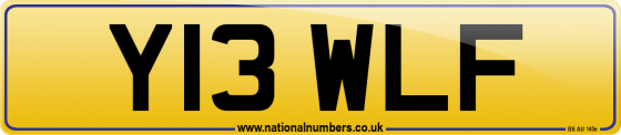 Y13 WLF