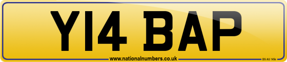Y14 BAP
