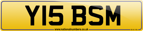 Y15 BSM