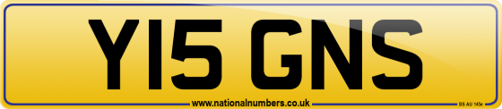 Y15 GNS