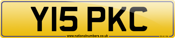 Y15 PKC