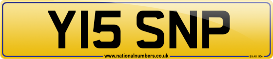 Y15 SNP