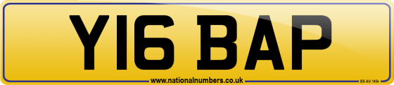 Y16 BAP