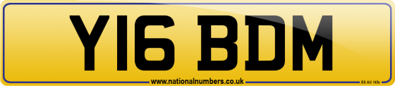 Y16 BDM