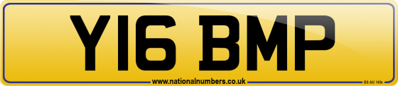 Y16 BMP