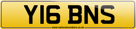Y16 BNS