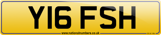 Y16 FSH