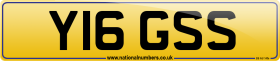 Y16 GSS