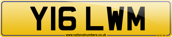Y16 LWM
