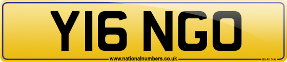 Y16 NGO