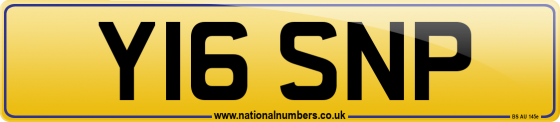 Y16 SNP
