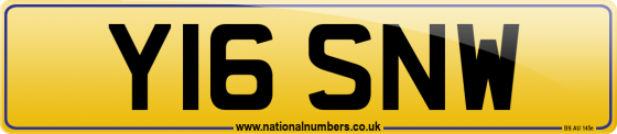 Y16 SNW