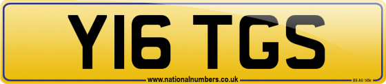 Y16 TGS