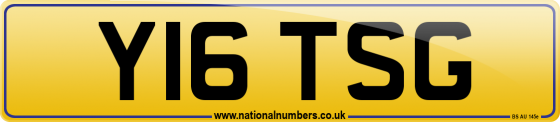 Y16 TSG