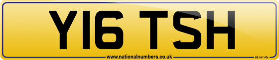 Y16 TSH