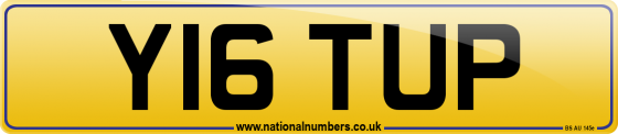 Y16 TUP