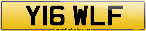 Y16 WLF