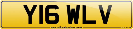 Y16 WLV