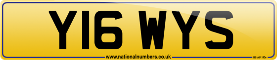 Y16 WYS