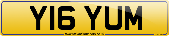 Y16 YUM