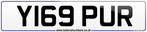 Y169 PUR
